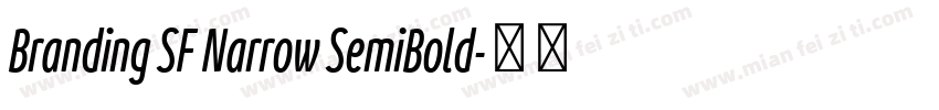 Branding SF Narrow SemiBold字体转换